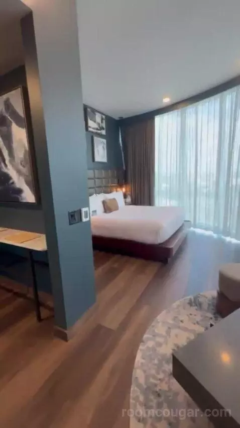 King Studio Suite bed picture #6