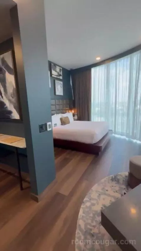 King Studio Suite bed picture #7