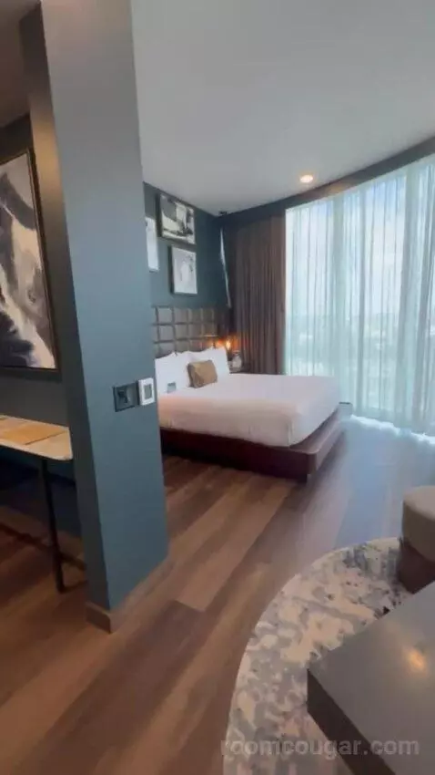 King Studio Suite bed picture #8