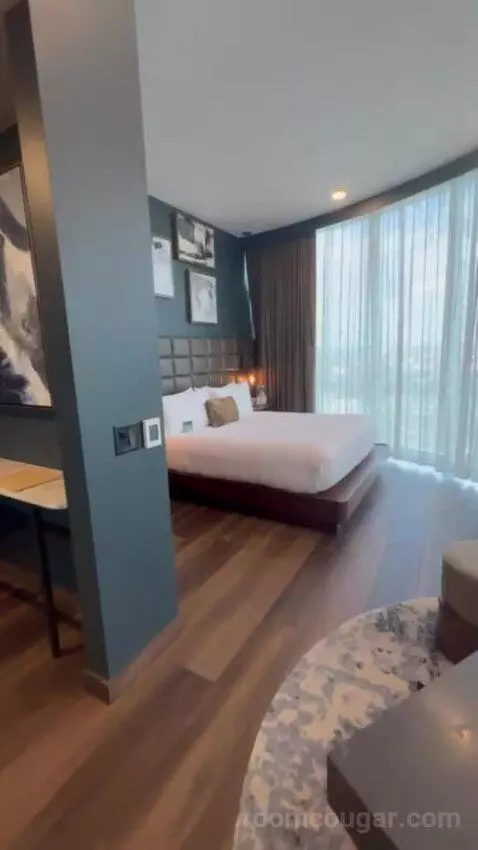 King Studio Suite bed picture #9