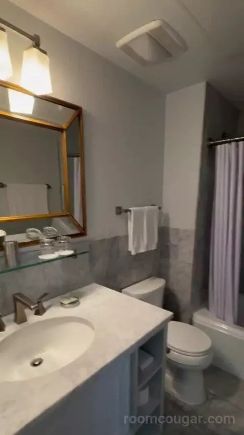 Deluxe Poolside bathroom picture #11