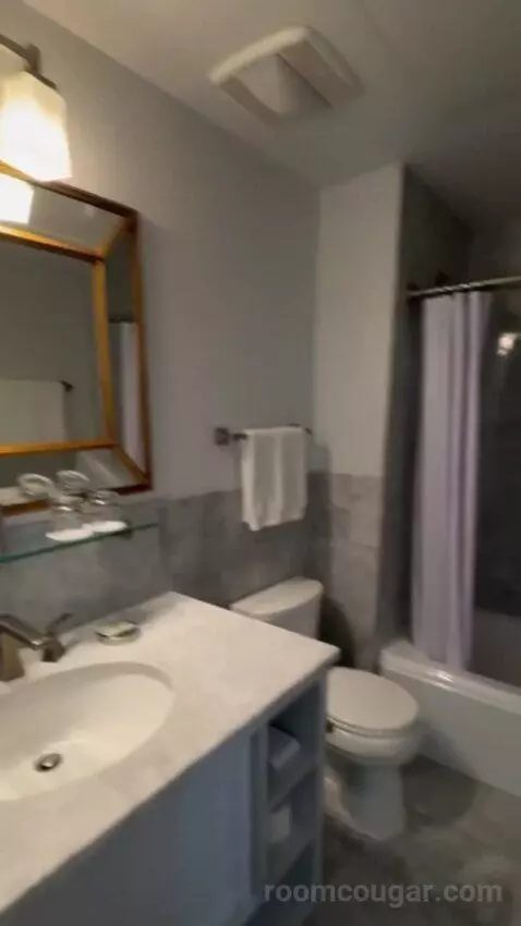 Deluxe Poolside bathroom picture #12