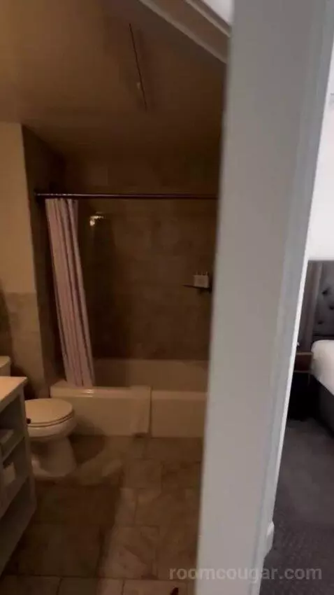 Deluxe Poolside bathroom picture #2