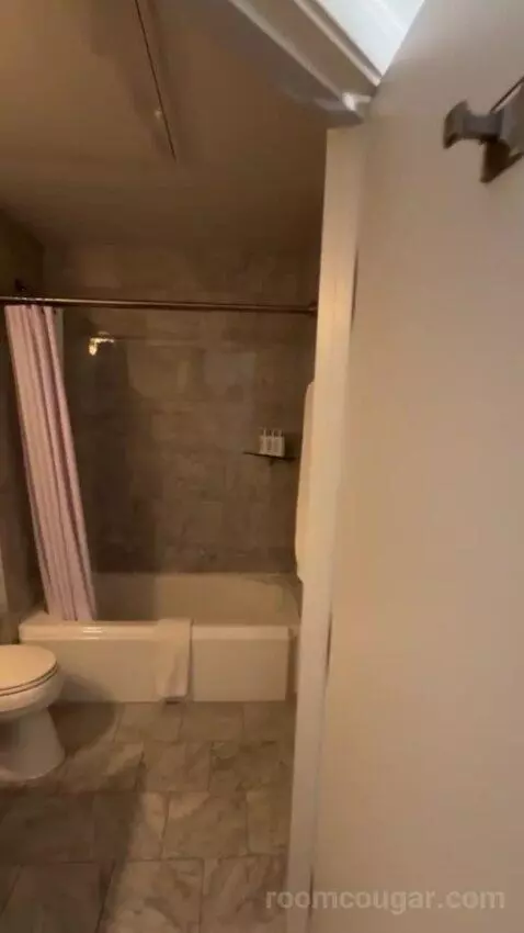 Deluxe Poolside bathroom picture #3