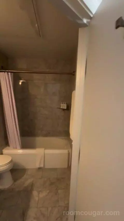 Deluxe Poolside bathroom picture #4