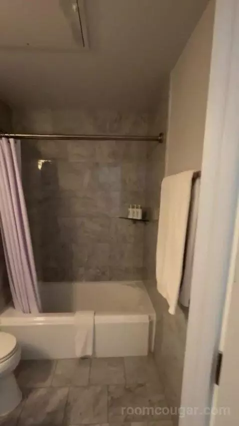 Deluxe Poolside bathroom picture #5