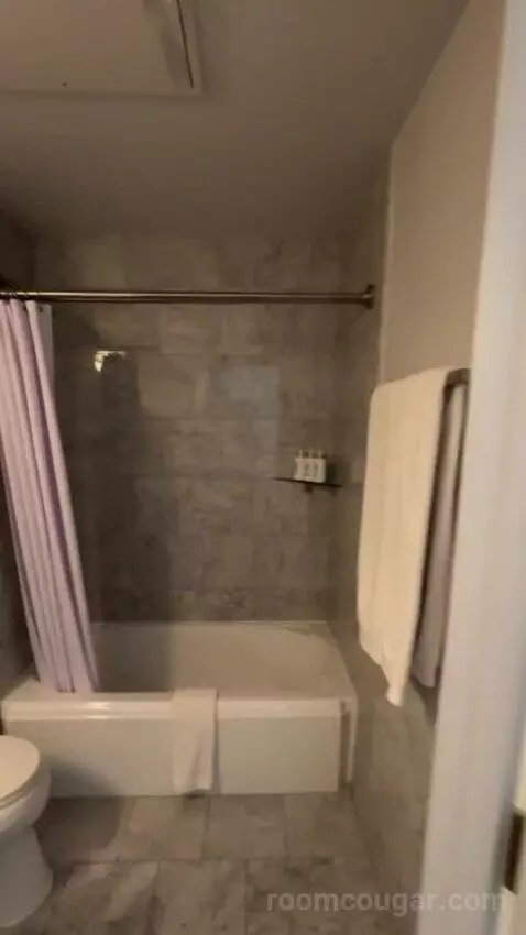 Deluxe Poolside bathroom picture #6