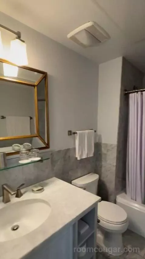 Deluxe Poolside bathroom picture #9