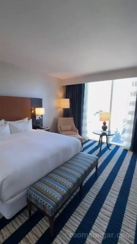 Junior King Suite view picture #5