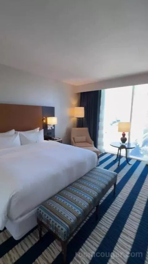 Junior King Suite view picture #6