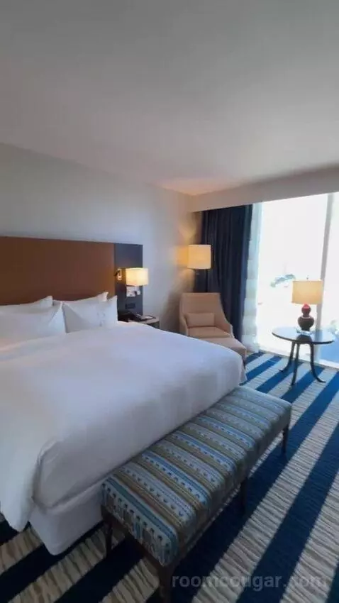 Junior King Suite view picture #7