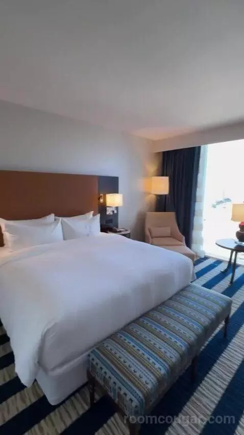 Junior King Suite view picture #8