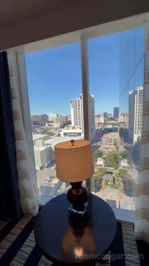 Junior King Suite view picture #9