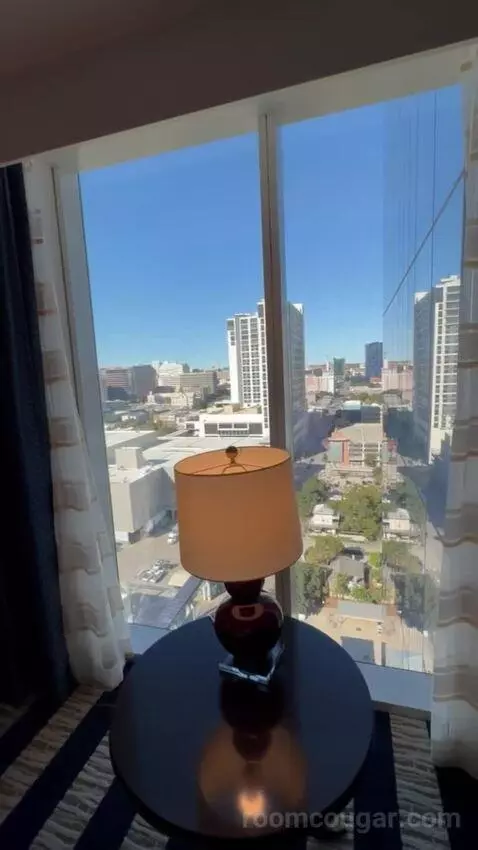 Junior King Suite view picture #10