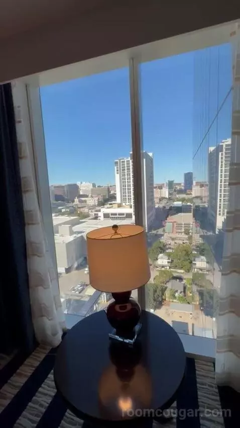 Junior King Suite view picture #11