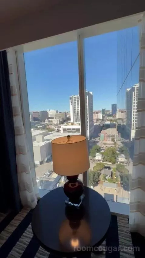 Junior King Suite view picture #12