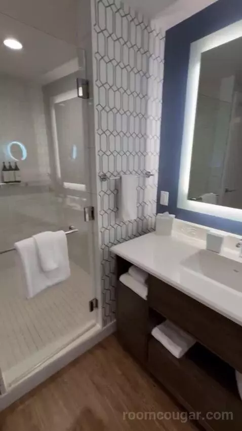 Junior King Suite bathroom picture #4