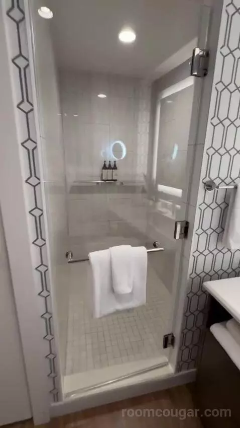 Junior King Suite bathroom picture #5