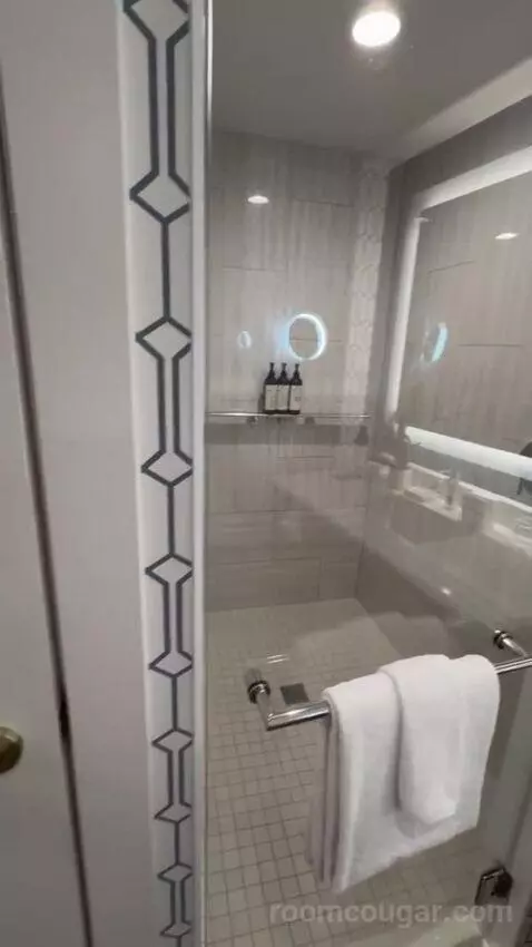 Junior King Suite bathroom picture #6