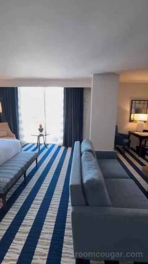 Junior King Suite view picture #1