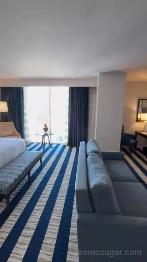 Junior King Suite view picture #2