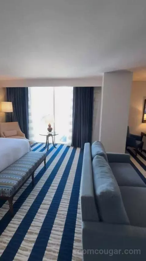 Junior King Suite view picture #3