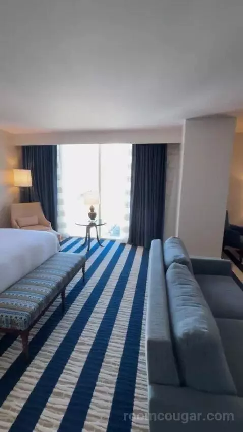 Junior King Suite view picture #4