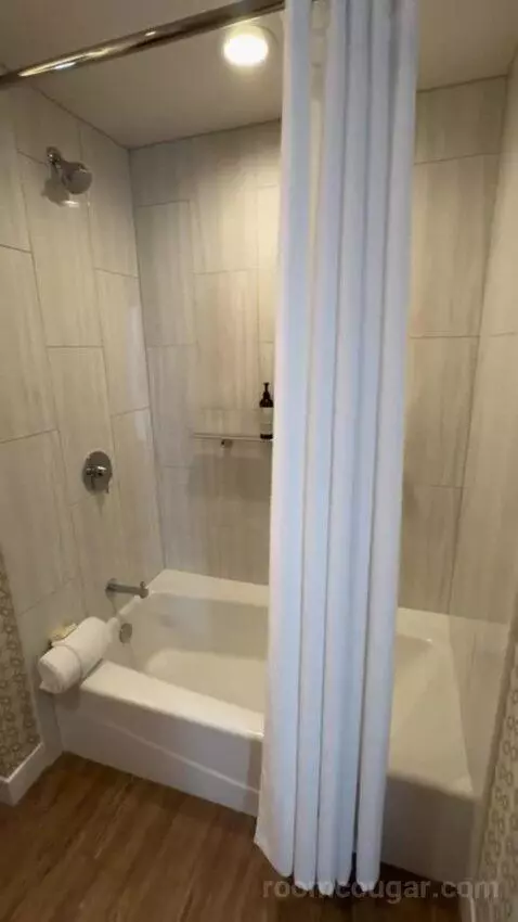 Signature One Bedroom King Suite bathroom picture #1