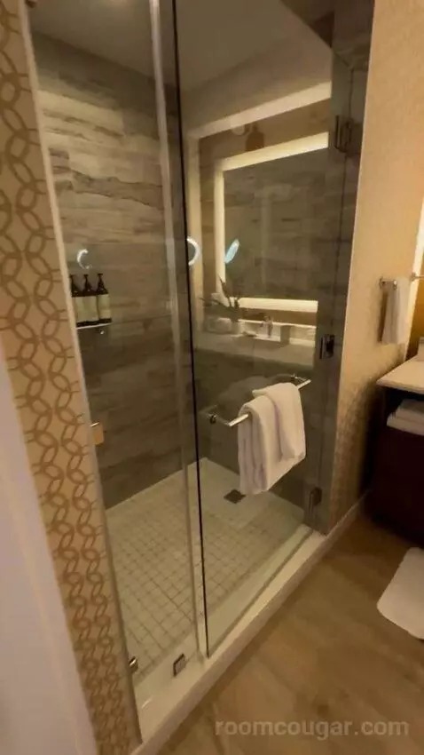 Gold Studio King bathroom picture #5