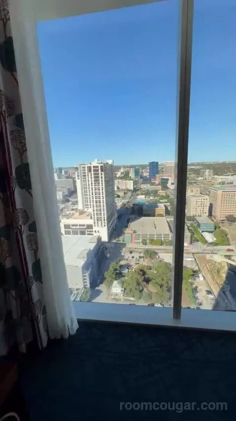 Gold Studio King view picture #3