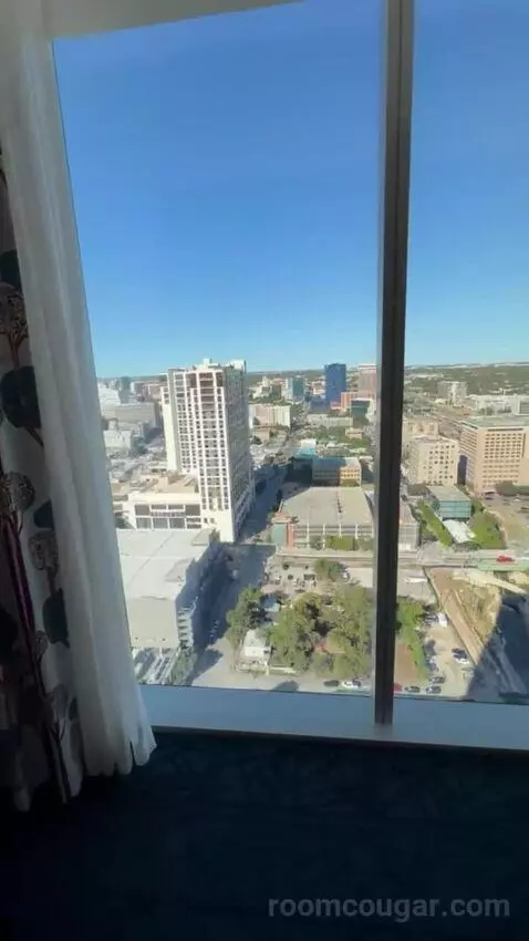 Gold Studio King view picture #4