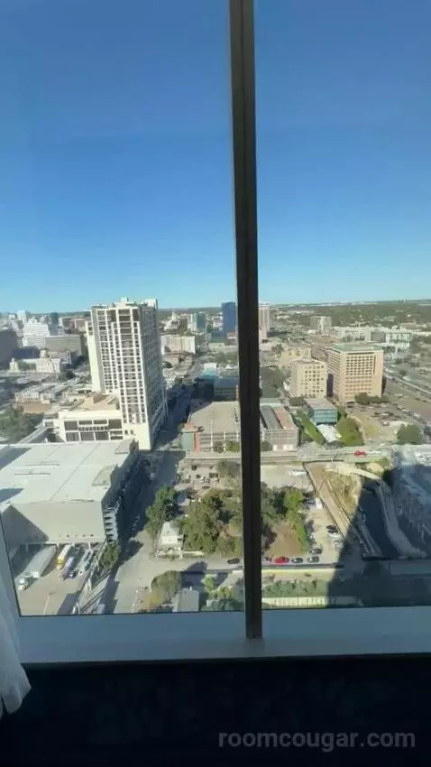 Gold Studio King view picture #8