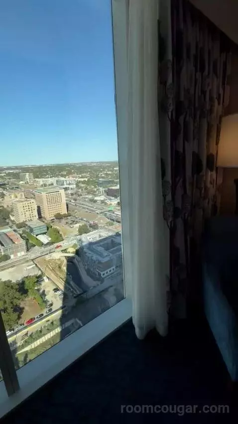 Gold Studio King bed picture #4