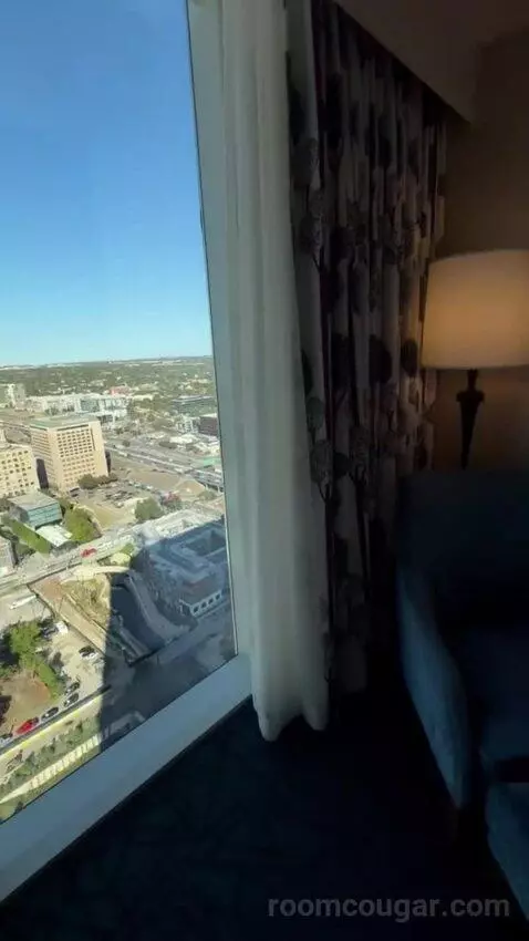 Gold Studio King bed picture #5