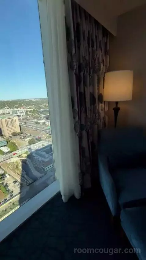 Gold Studio King bed picture #6