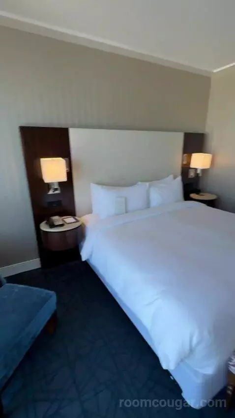 Gold Studio King bed picture #8