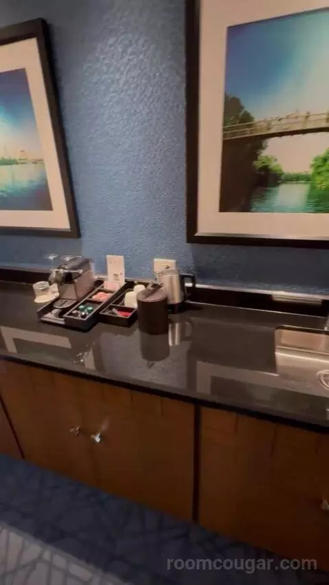 Gold Studio King bathroom picture #2