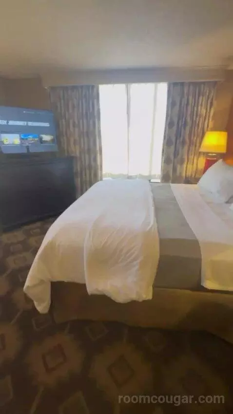 Standard King bed picture #6