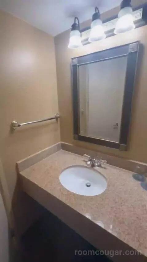 Standard King bathroom picture #1
