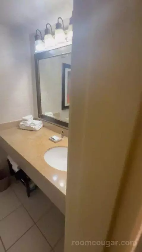 Standard King bathroom picture #4