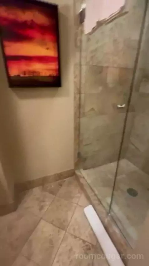 Luxury Presidential Suite bathroom picture #7