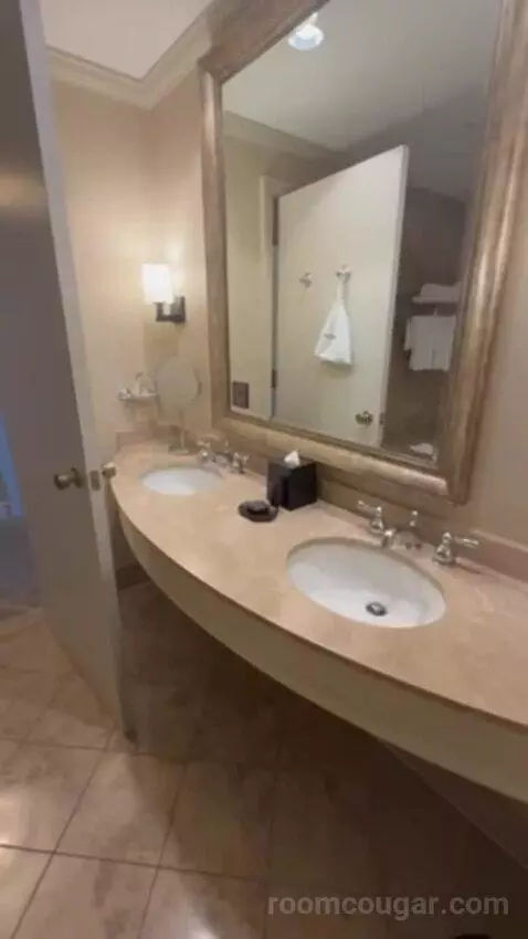 Luxury Presidential Suite bathroom picture #9