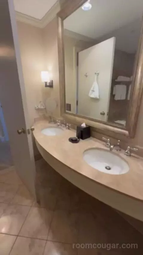 Luxury Presidential Suite bathroom picture #10