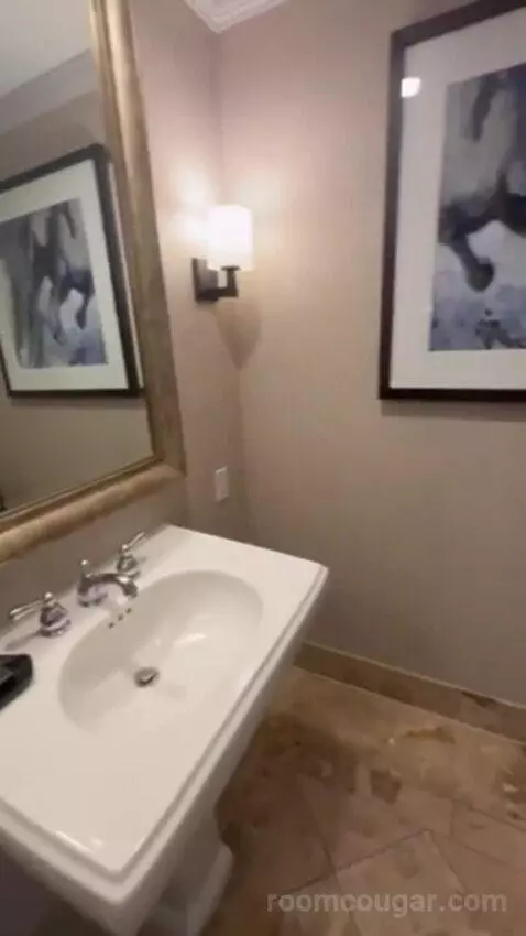 Luxury Presidential Suite bathroom picture #1