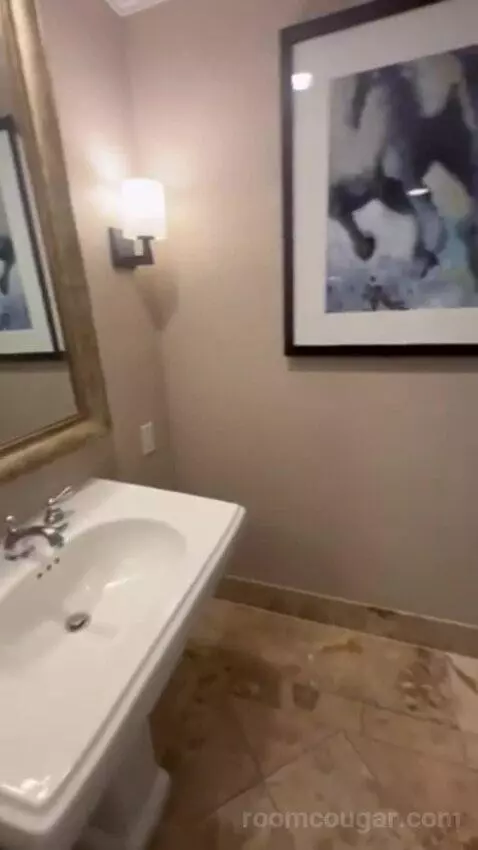 Luxury Presidential Suite bathroom picture #2