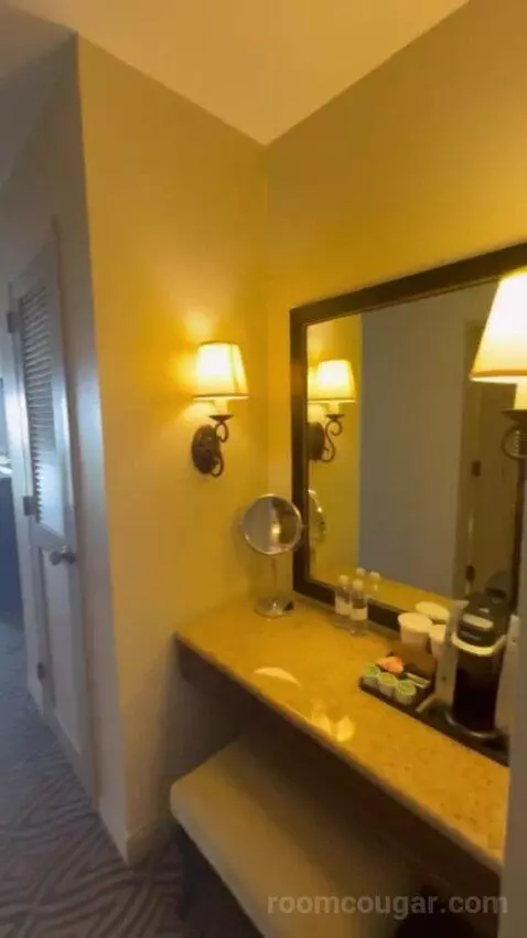 Deluxe King Room bathroom picture #1
