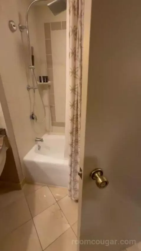 Deluxe King Room bathroom picture #7