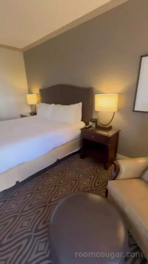 Deluxe King Room bed picture #5