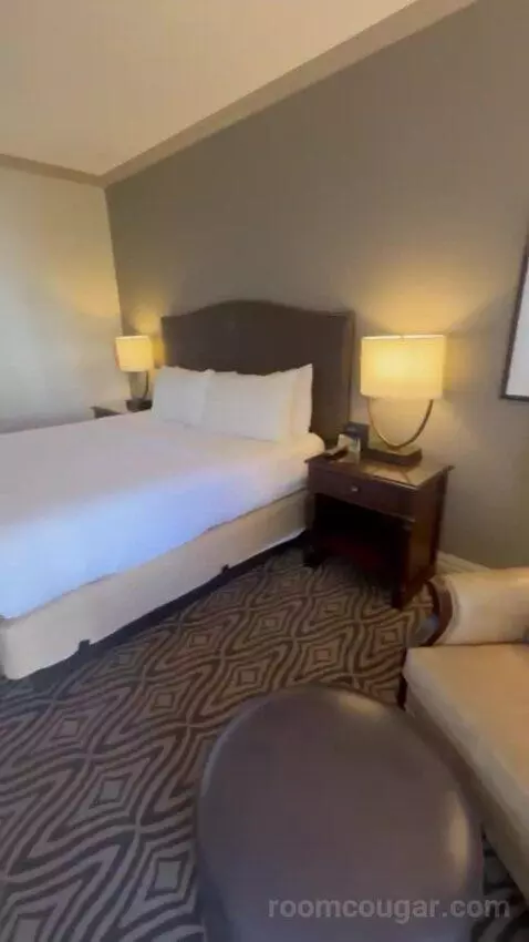 Deluxe King Room bed picture #6