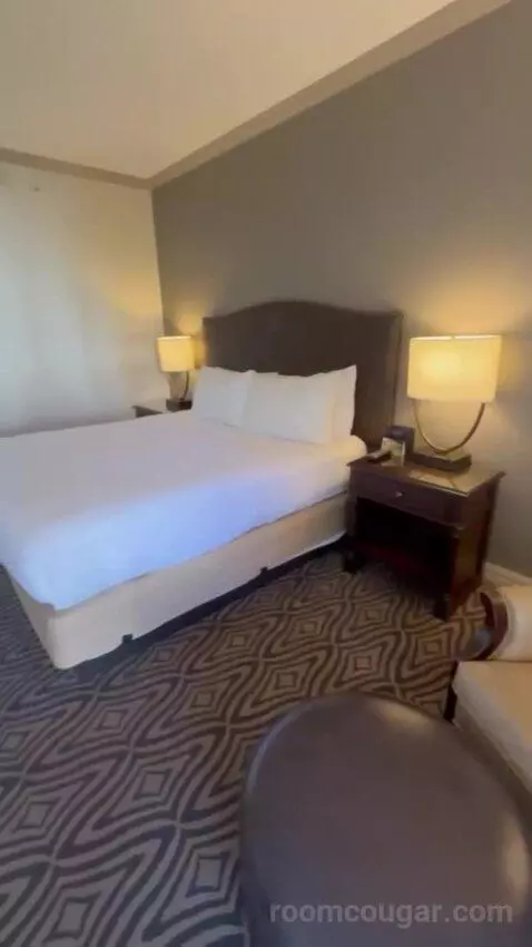 Deluxe King Room bed picture #9
